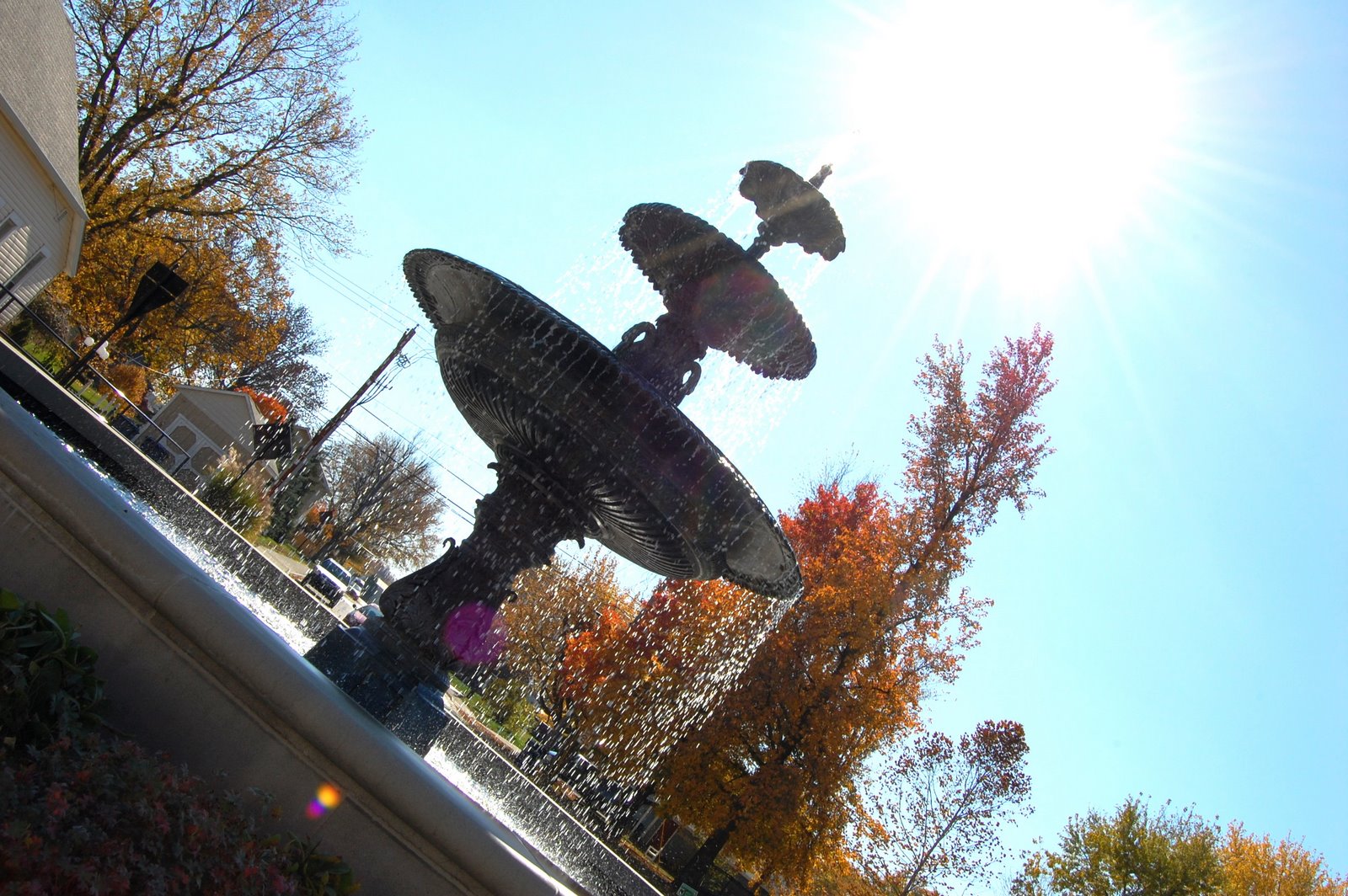 [DSC_7426.JPG]