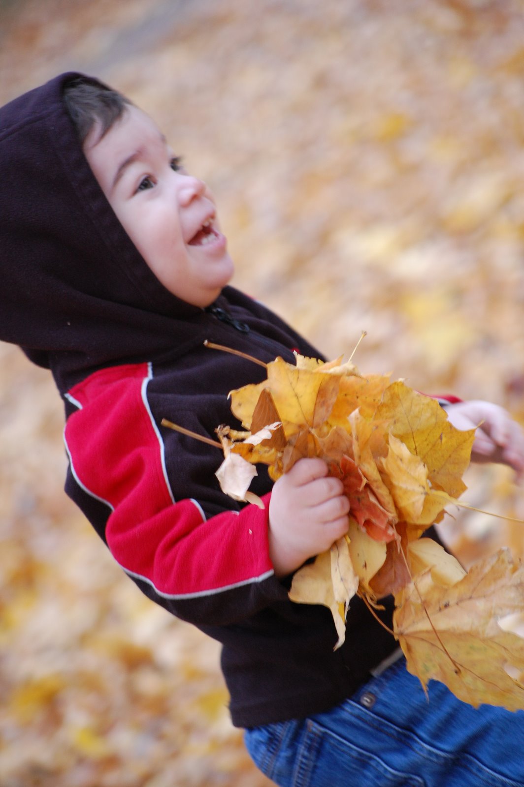 [DSC_7829.JPG]
