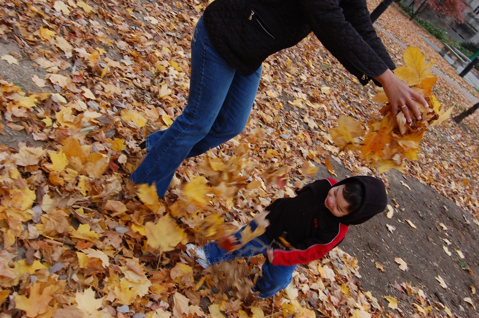 [DSC_7906.JPG]