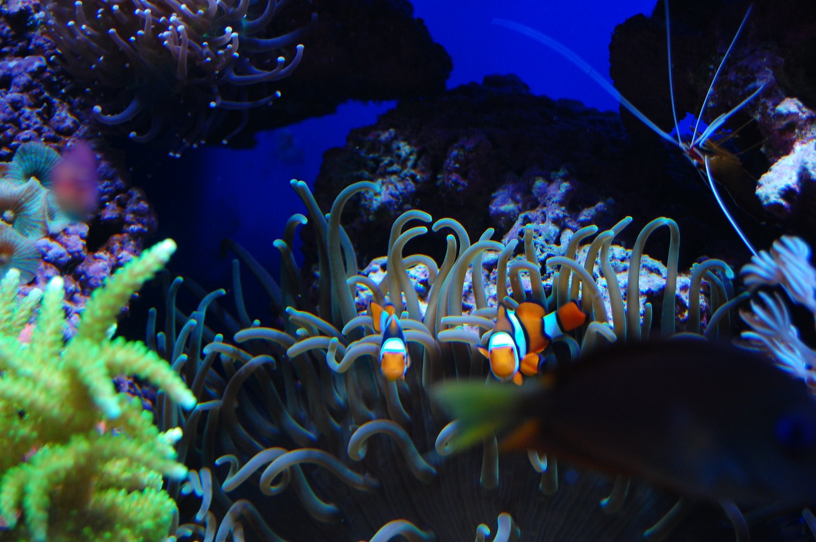 [DSC_1767.JPG]