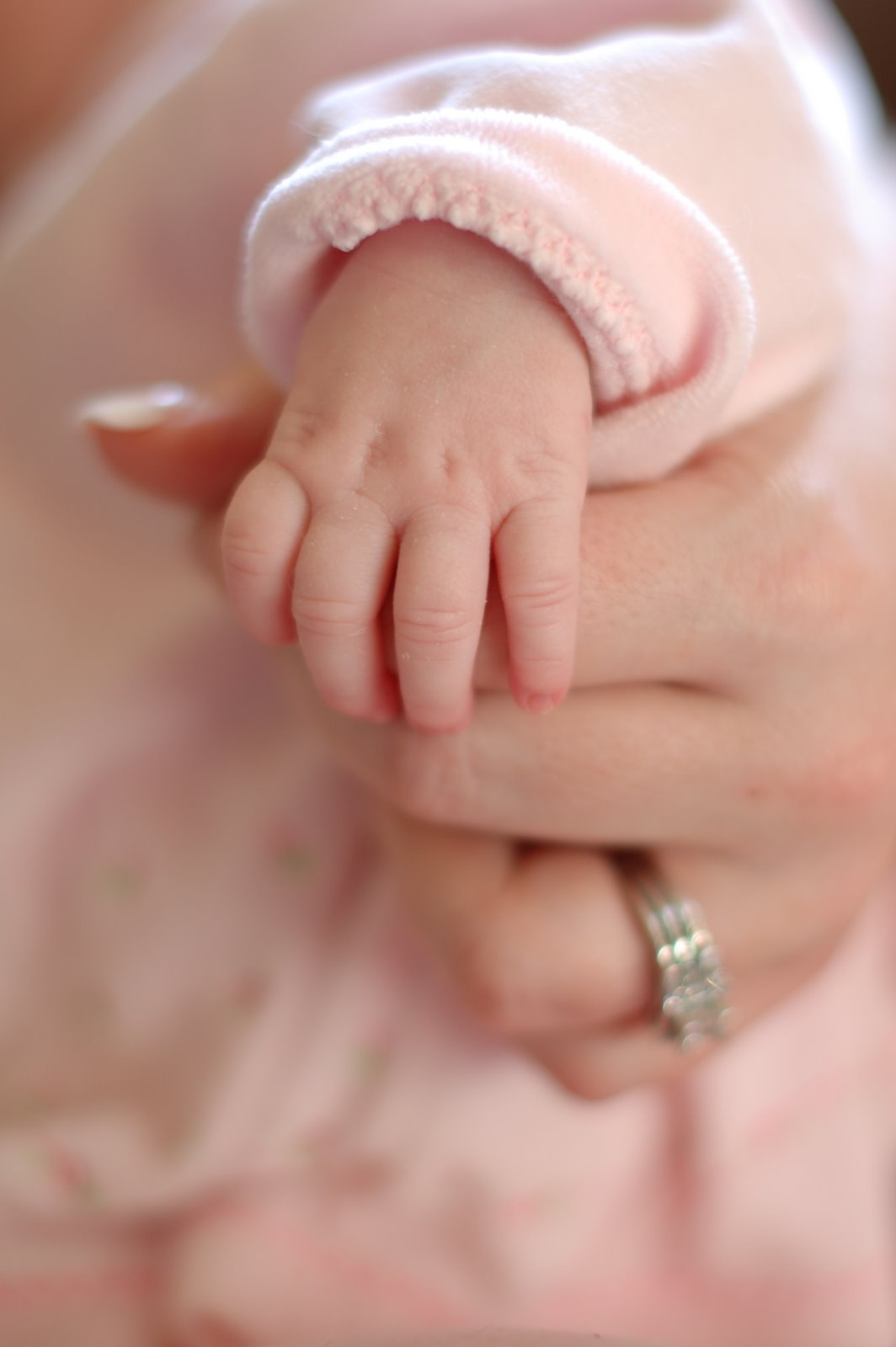 [DSC_9333.JPG]