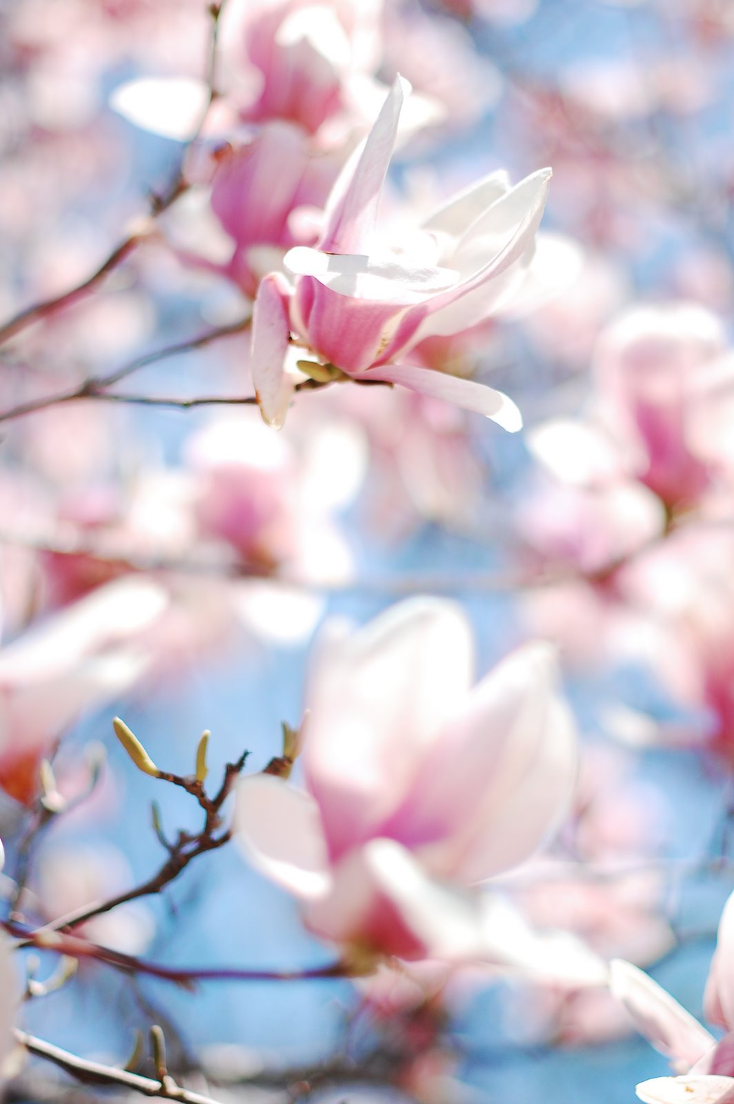 [DSC_4128.JPG]