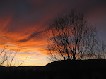Montana Sunset
