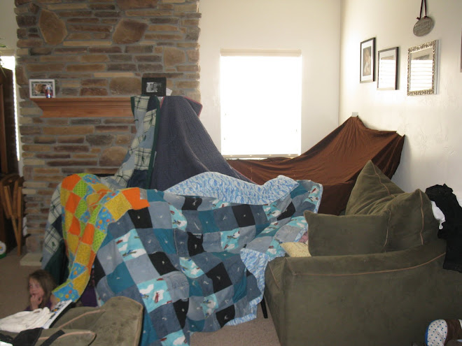 Our fun fort we made