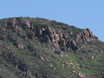 Canon EF 55-200mm f/4.5-5.6 II USM Telephoto Lens @ Landscape Autotmatic 55mm focal length cropped to 800 x 600 / 55mm / 3888 x 2592 / 3.86 MB / ISO-400 / F-stop f/11 / Exposure time 1/400 second / Metering mode Pattern Canon EF 55-200mm f/4.5-5.6 II USM Telephoto Lens @ Landscape Autotmatic 55mm focal length cropped to 800 x 600 / 55mm / 3888 x 2592 / 3.86 MB / ISO-400 / F-stop f/11 / Exposure time 1/400 second / Metering mode Pattern