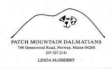 Patch Mountain Dalmatians