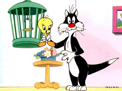 tweety wallpaper tweety wallpaper