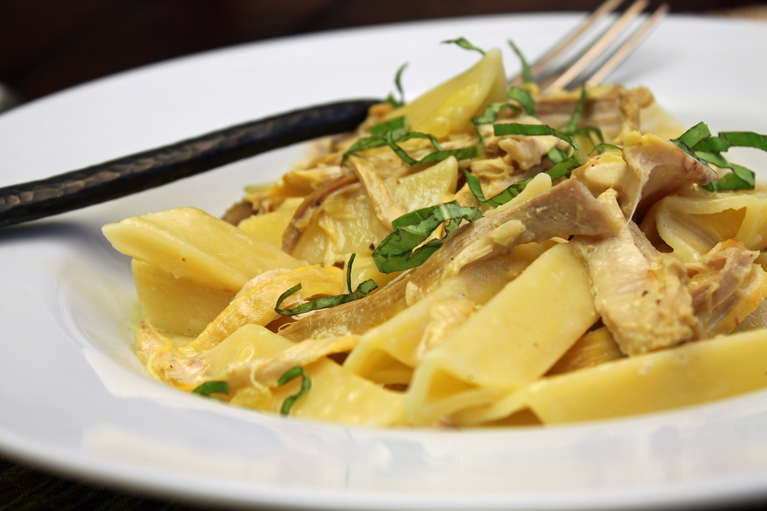 There's a Newf in My Soup! Paccheri Pasta with Braised Chicken and