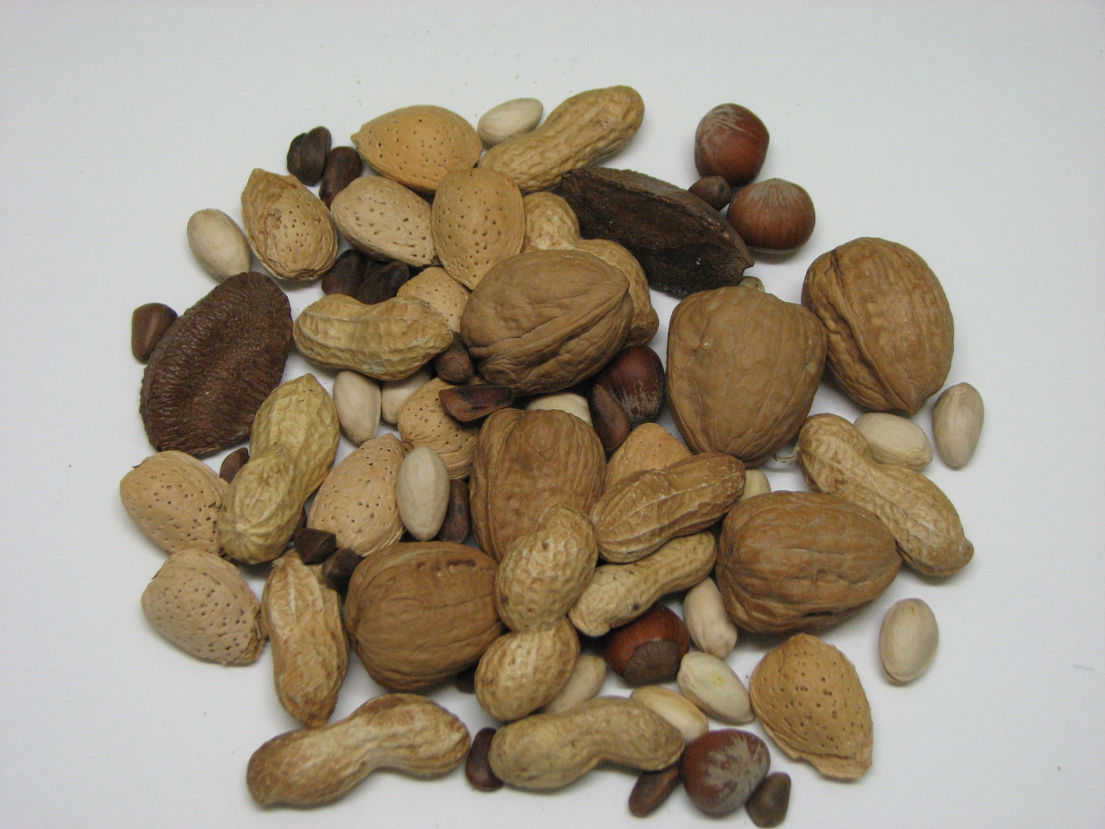 Parrot Blog ParrotPressNews Save the Nuts