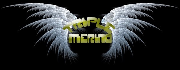 TRIPLE MERINO