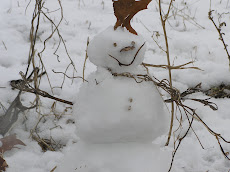 Winter Garden Angel