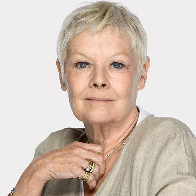 Layered Hairstyles Judi Dench Hairstyle