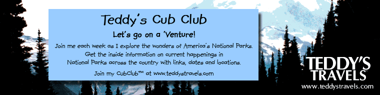 Teddy's CubClub™