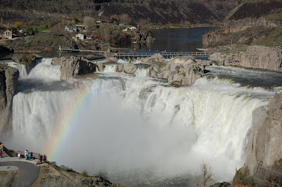 Above the Platform. Onlookers gaze at Shoshone Falls.