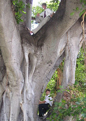 NATHAN & JAMES IN A GIANT TREE