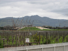 The view of Opus One from Nickel and Nickel