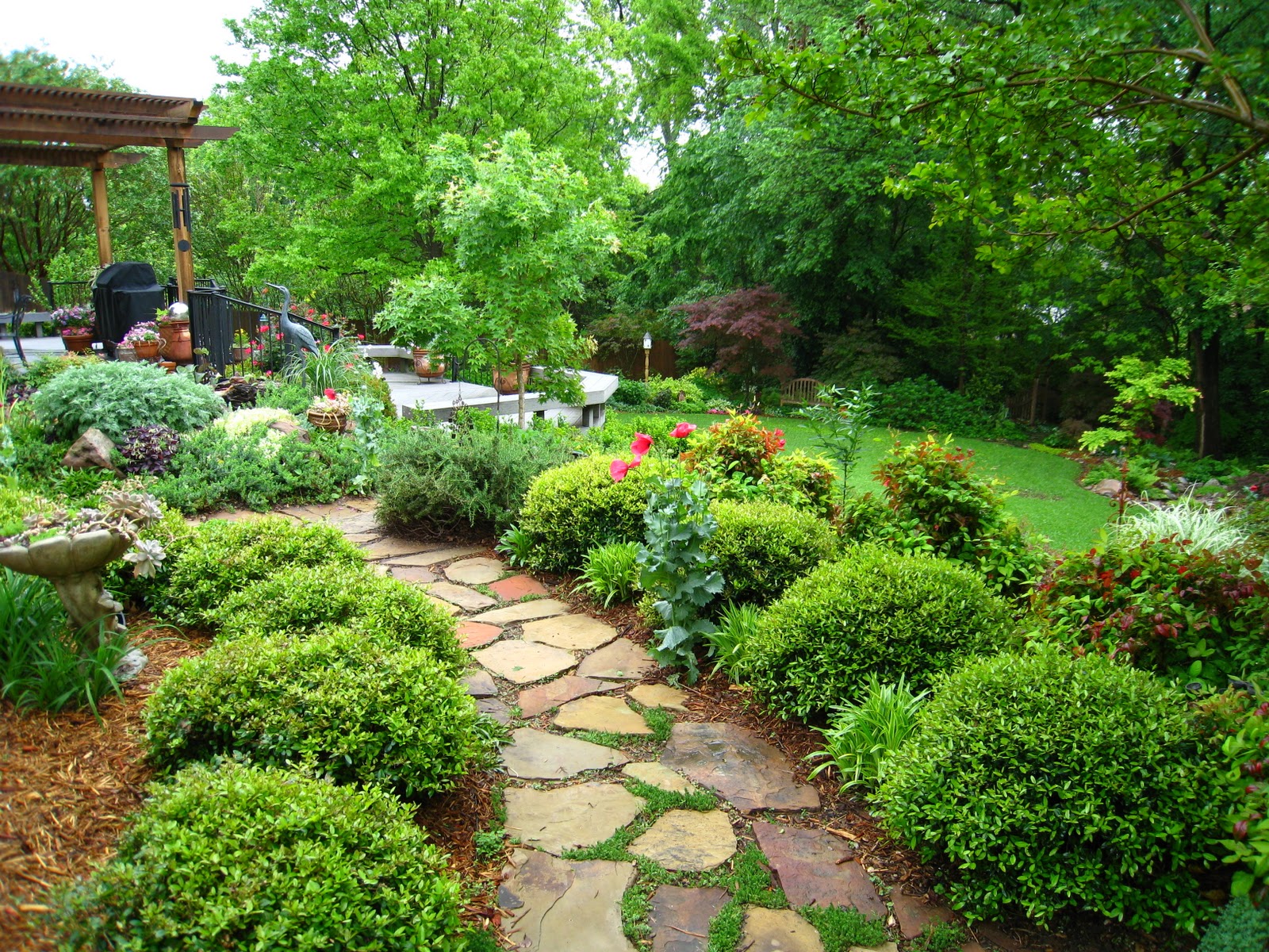 Signature Gardens: Seasons of Change (Backyard)