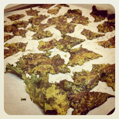 blowing up the oven: baked kale chips
