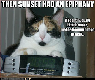 Cat Epiphany