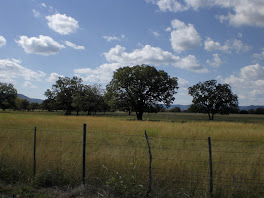 Texas Hill County looks a little like California