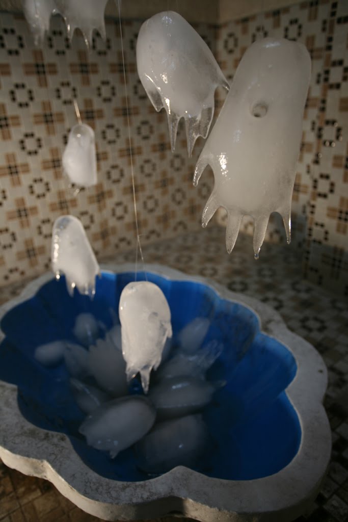 [IMG_3617.JPG]