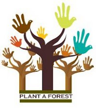 Gold Tops Supports | Plant A Forest |