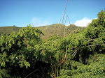 AÇORES