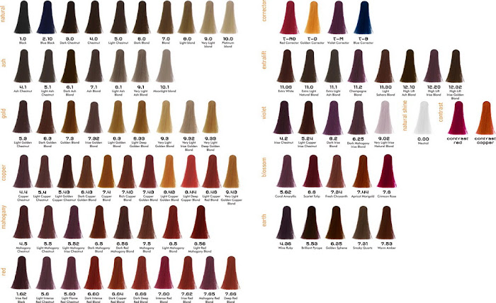 Hair Color Swatch Chart