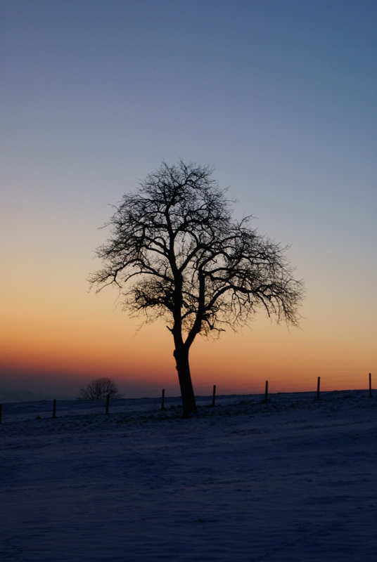 [DSC04560.JPG]
