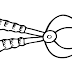 Alicate para Colorir - Desenhos de ferramentas