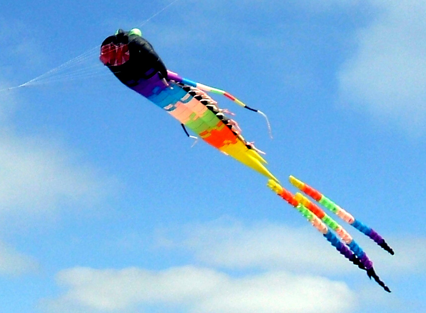 [kites009c.jpg]