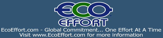 Eco Effort