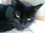 Eric (April 1996-April 2010)