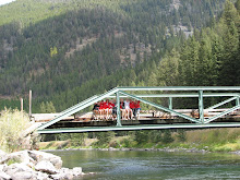 Yellowstone Nat'l Park