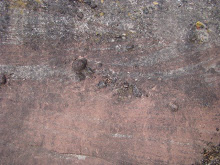 Conglomerados