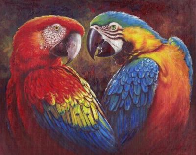 ... loro. Yo vi a loros naciendo eran todos muy bonitos y nacen si pelos