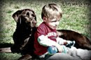 A Boy and His Dog