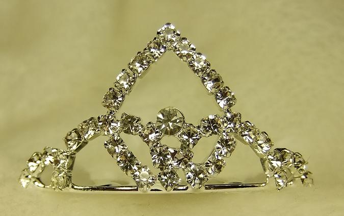 [Crown+8.JPG]