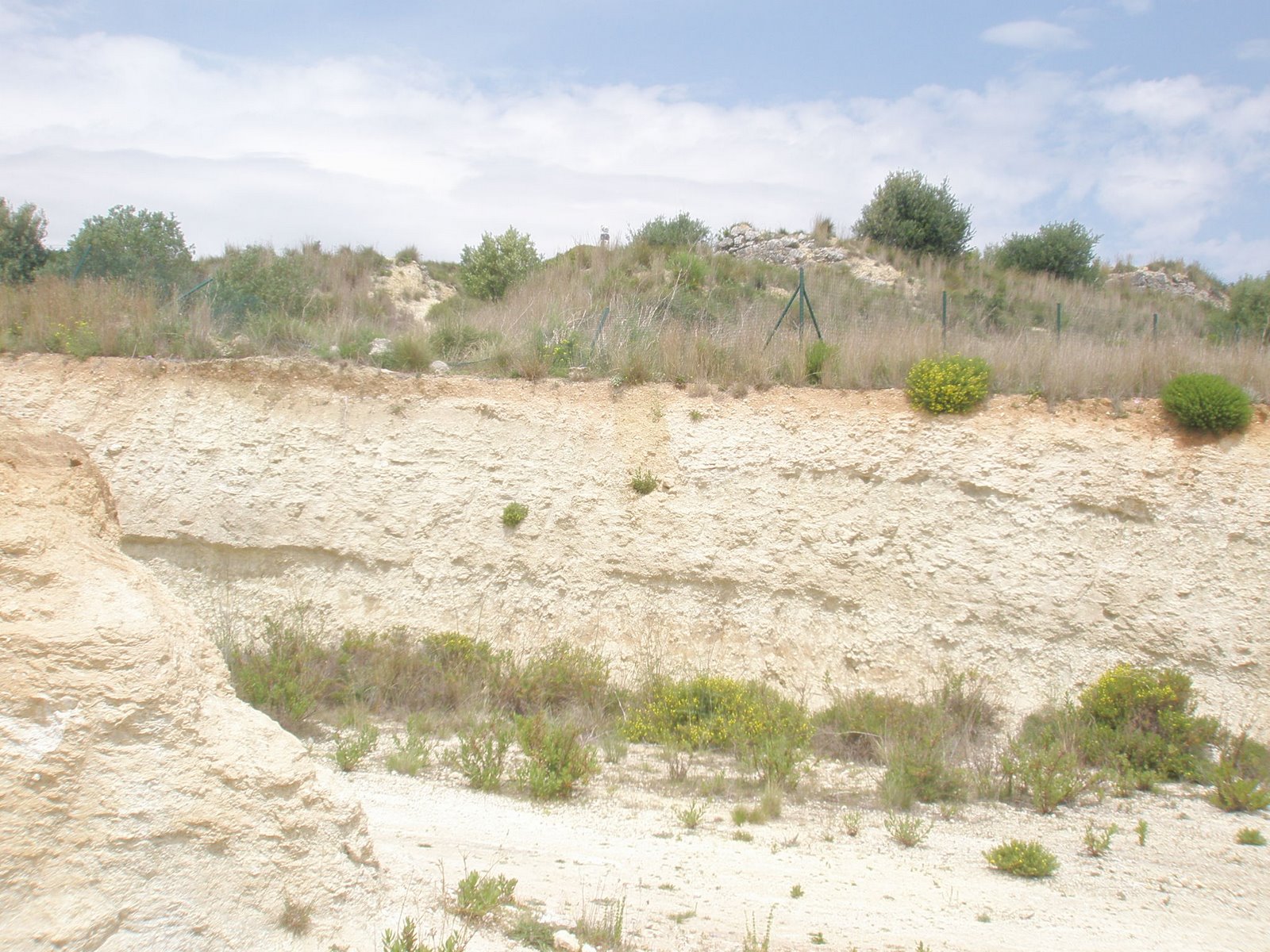 [P5090114.JPG]