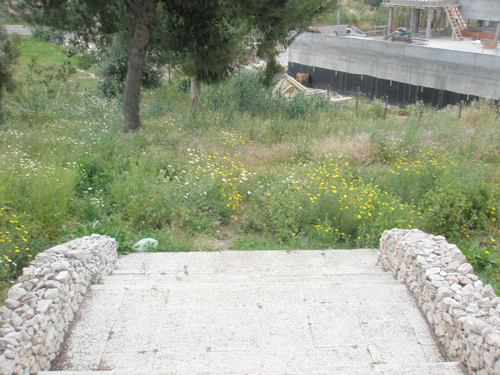 [P5090073.JPG]