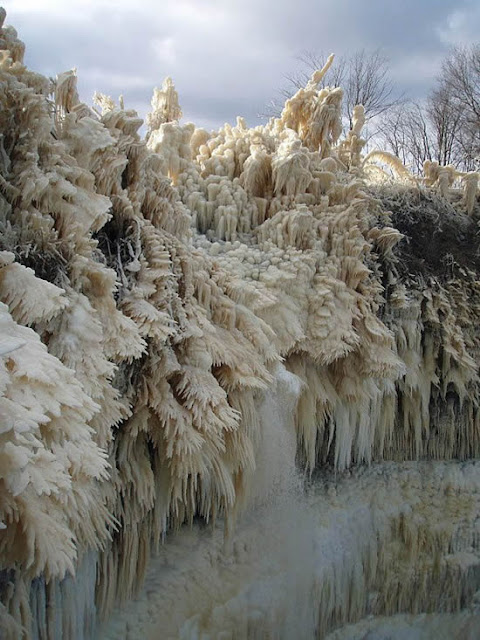 ice storm sculptures