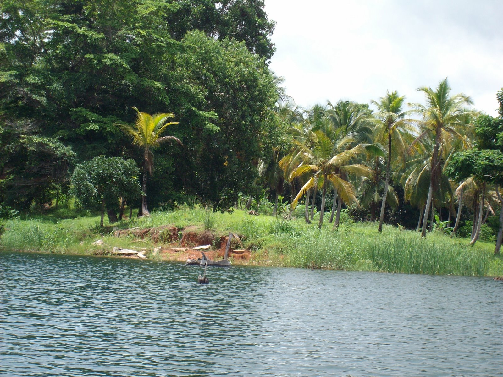 [SANY0006.JPG]