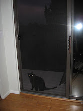 Why can't I come in the bedroom?