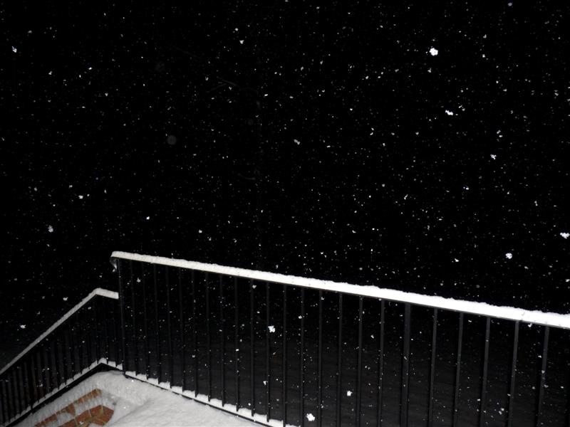 December 18, 2009 Snow Storm Virginia ButterYum