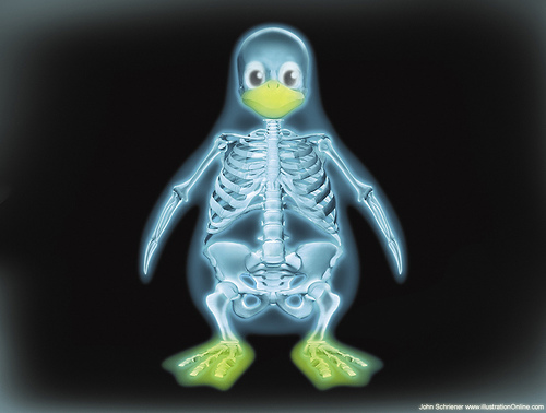 [LINUX.jpg]