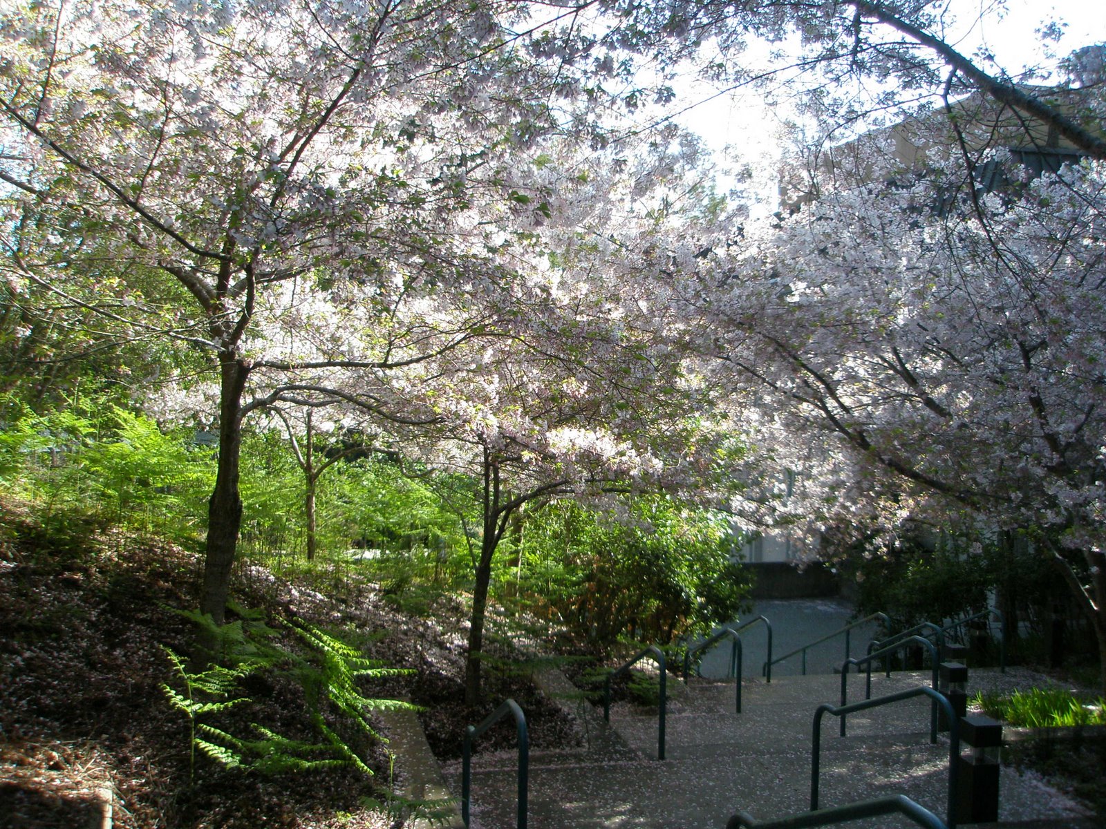[P4060016.JPG]