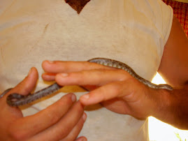 This is Sirrius when I first got him.