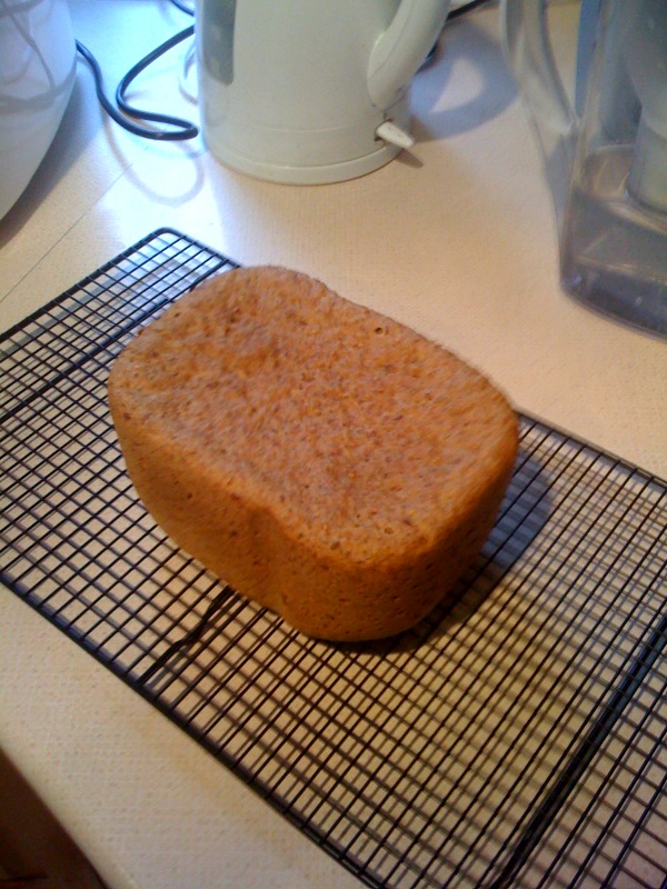 [spelt+loaf.jpg]