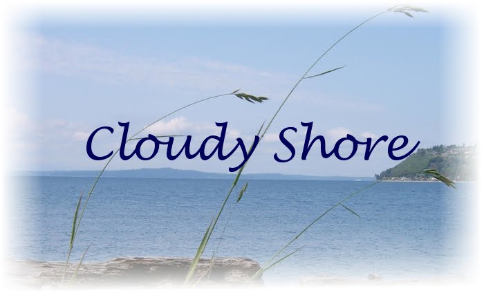 Cloudy Shore