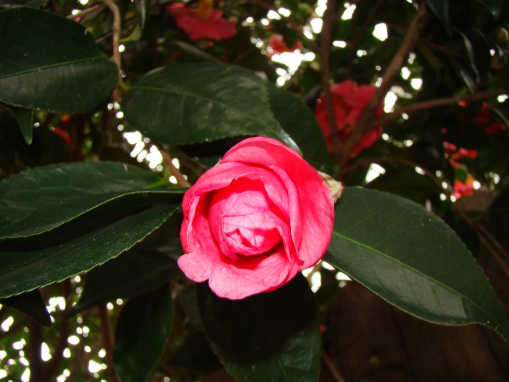[DSC00955.JPG]